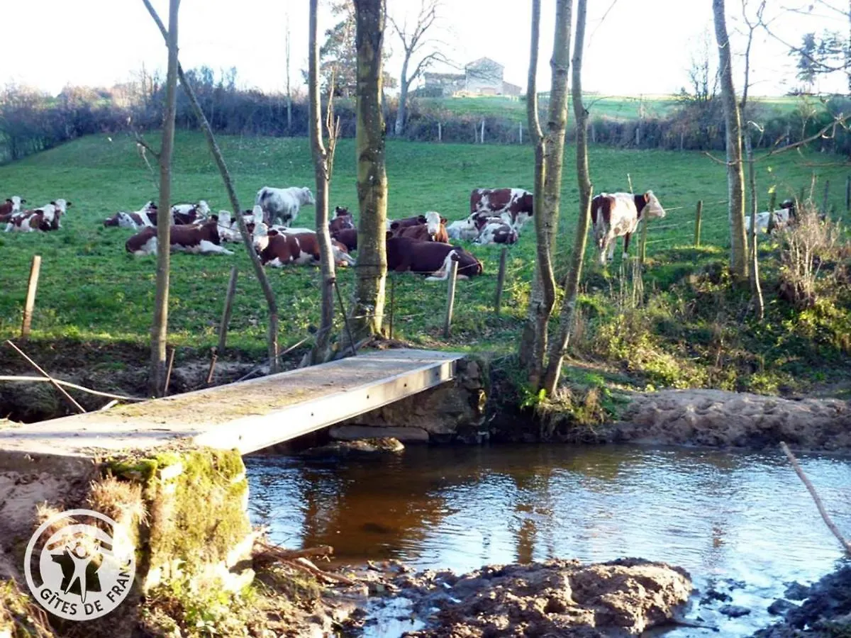 Gite Chaleureux 3 Ch, Jardin, Animaux Admis, Garage, Wifi - Fr-1-496-5 Perigneux Nyaraló