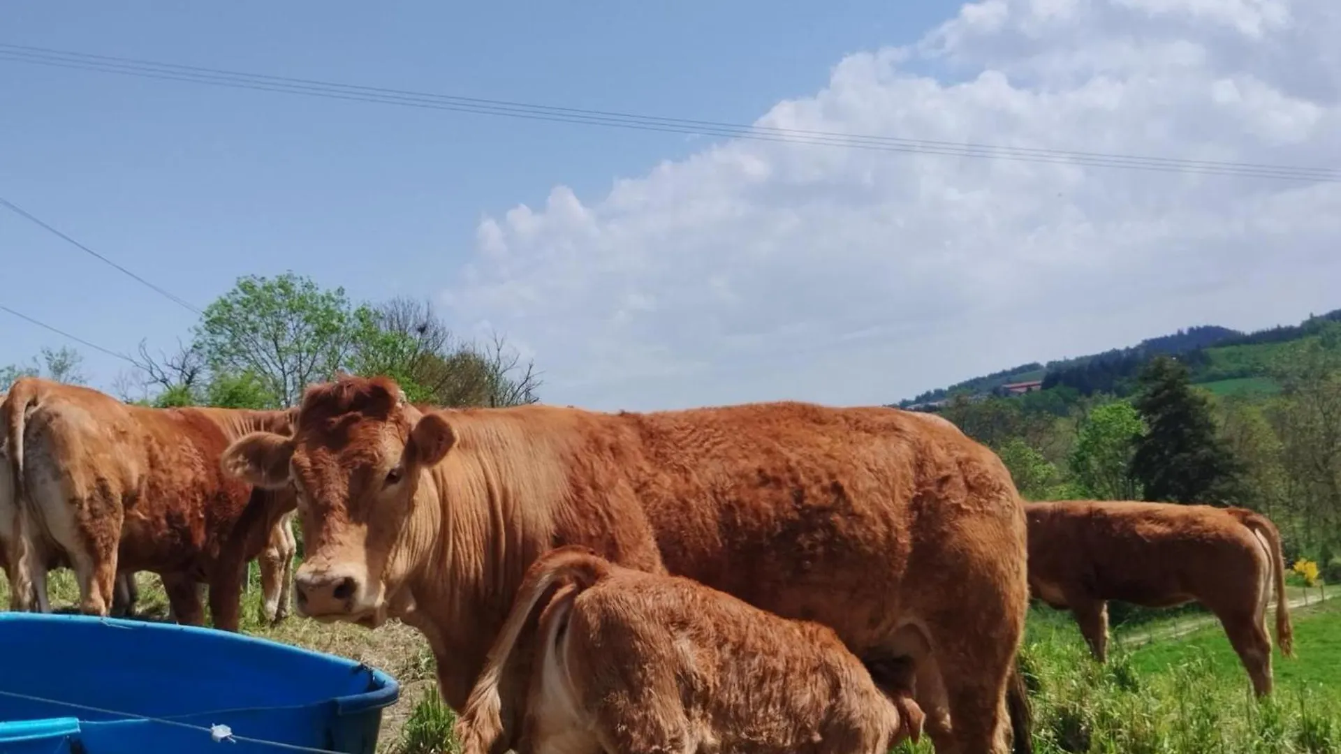 Nyaraló Gite Chaleureux 3 Ch, Jardin, Animaux Admis, Garage, Wifi - Fr-1-496-5 Perigneux